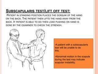 subscapularis pathology test pdf